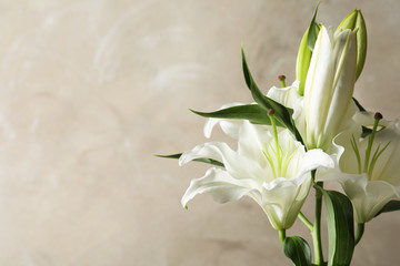 białe lilie na beżowym tle melancholijny widok